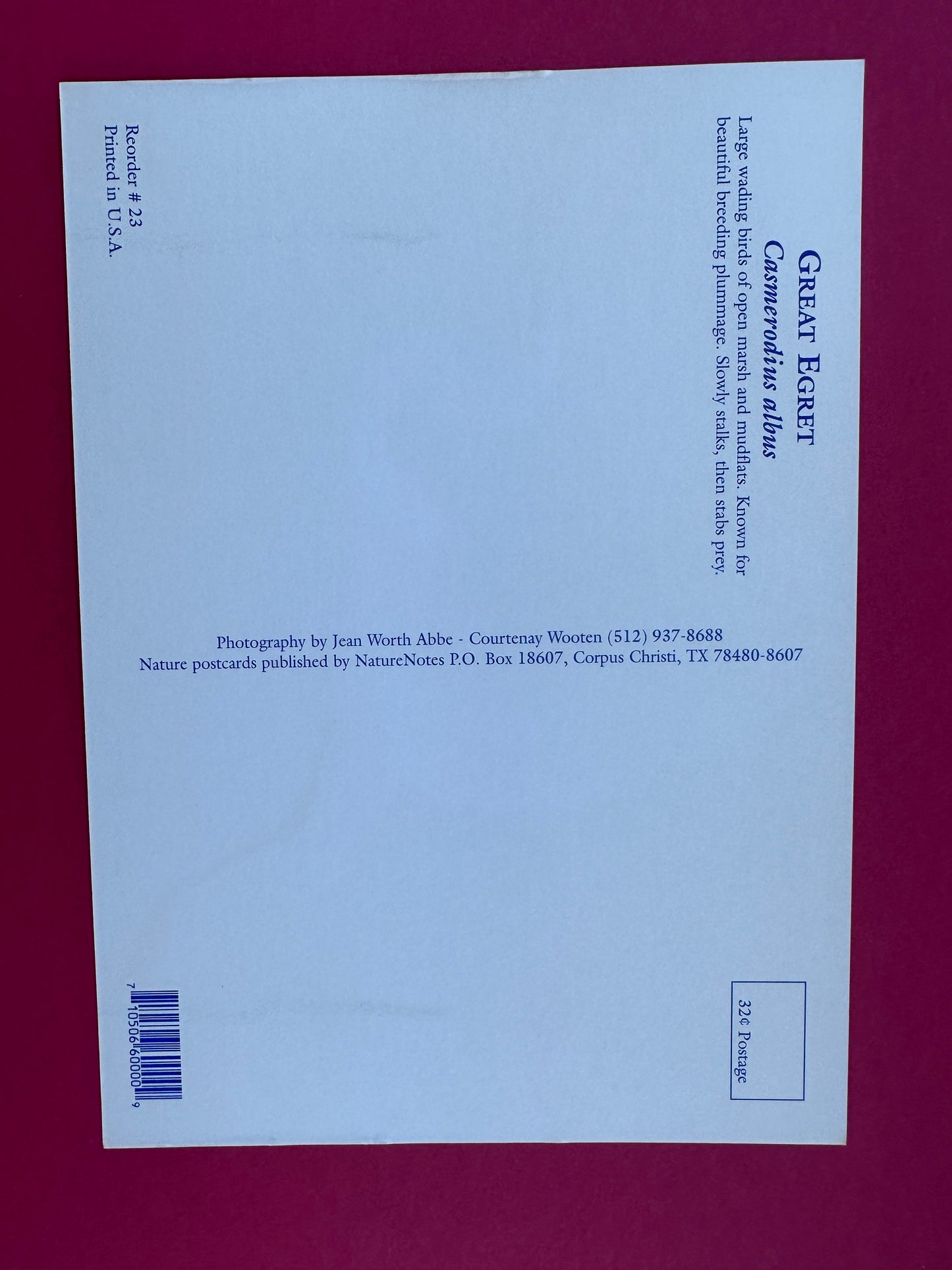 Vintage Great Egret Postcard