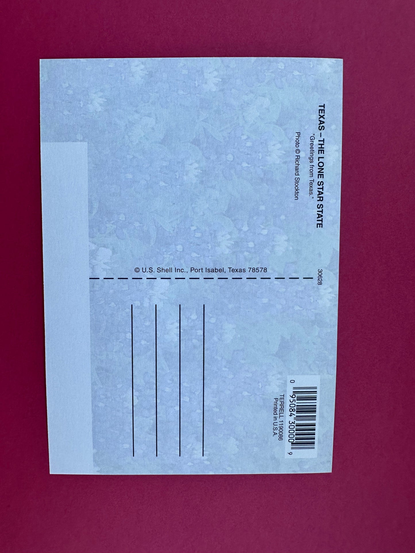 Vintage Texas Postcard