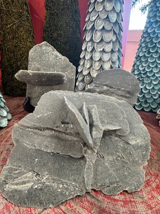 Elephant Ear Selenite Gypsum Quartz Mineral