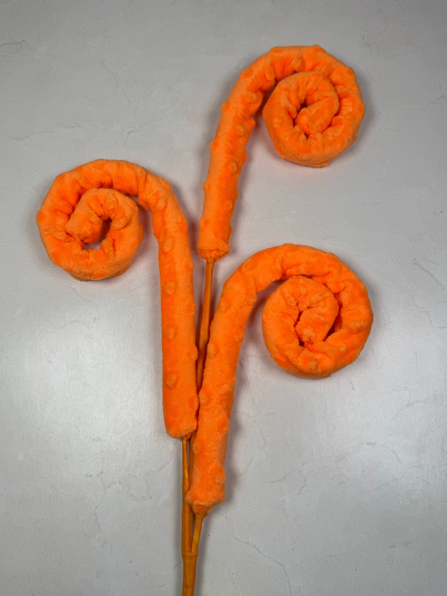 Orange Curly Spray