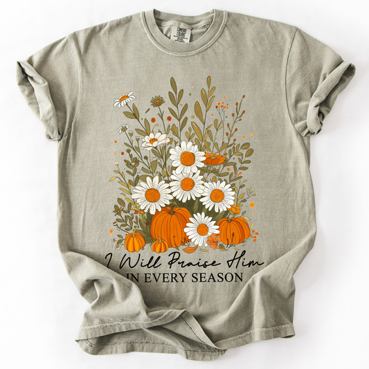 I Will Praise Him In Every Season, Psalm 34 1, Faith, Christian, Autumn, Pumpkin, Fall, Comfort Colors T-Shirt