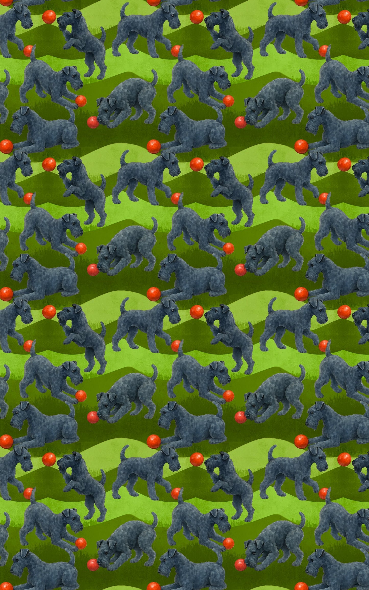 Garden Kerry Blue Terrier