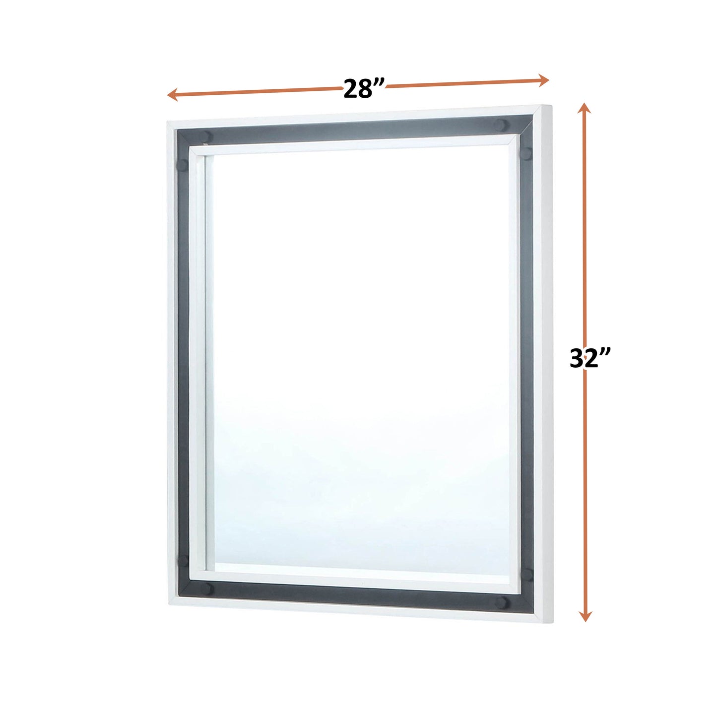 Ziva 28 in W x 32 in H Mirror with Black Metal Inlay