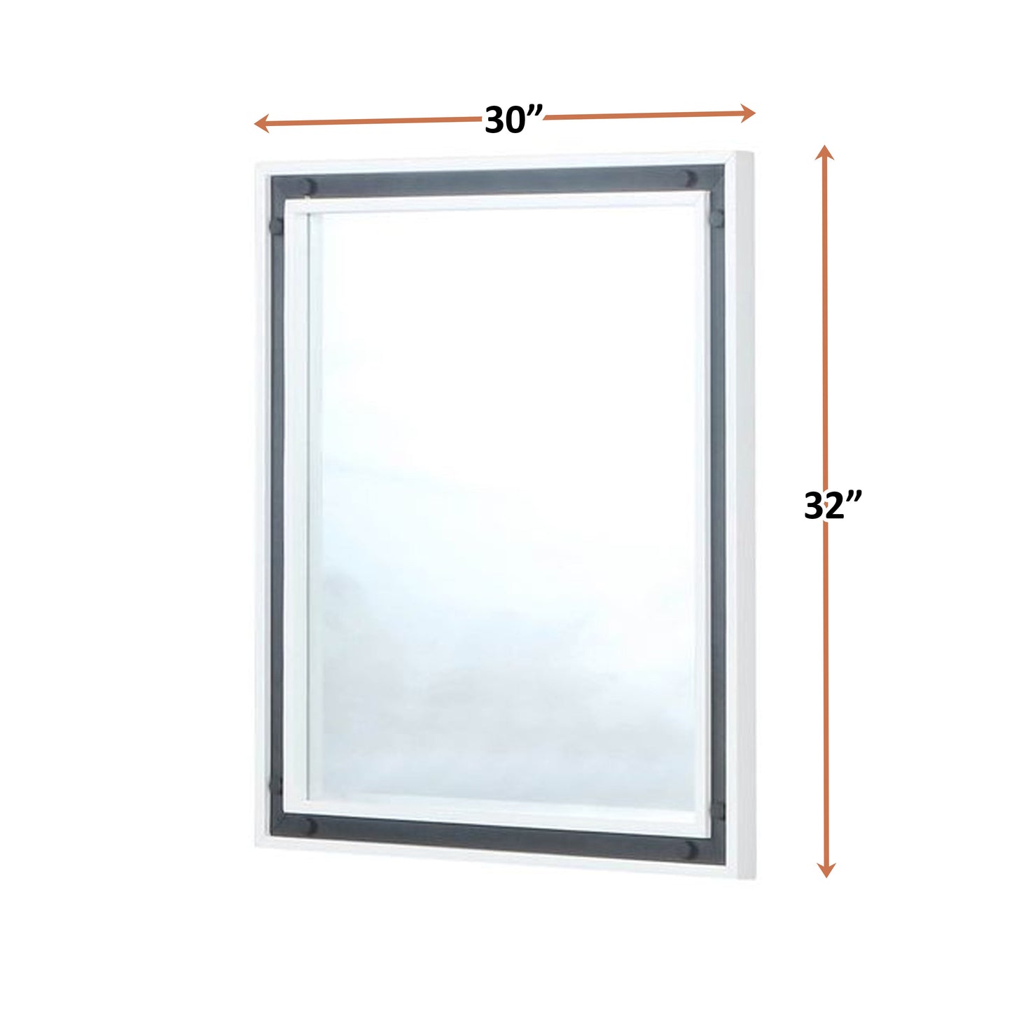 Ziva 30 in W x 32 in H Mirror with Black Metal Inlay