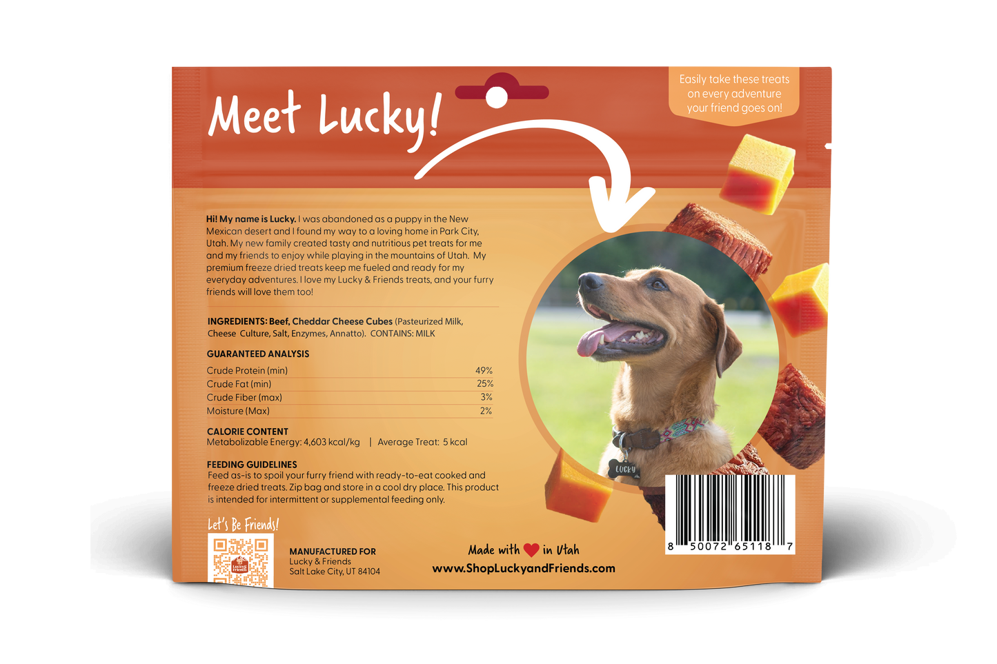 Steak & Cheddar Cheese Bites Dog Treats