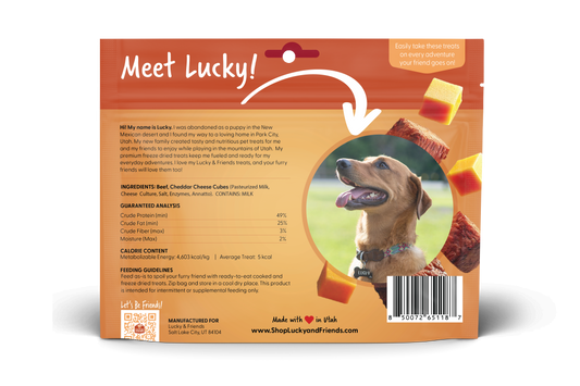 Steak & Cheddar Cheese Bites Dog Treats