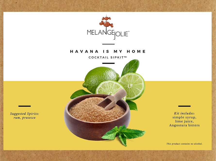 Mélange Jolie Havana is My Home Cocktail SipKit™ (Case of Six) | Contains No Alcohol | Barware & Accessories | Under $100 | Kitchen + Metal