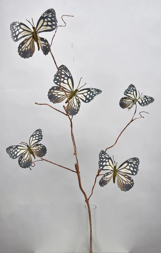 37" Butterfly Spray Black/White