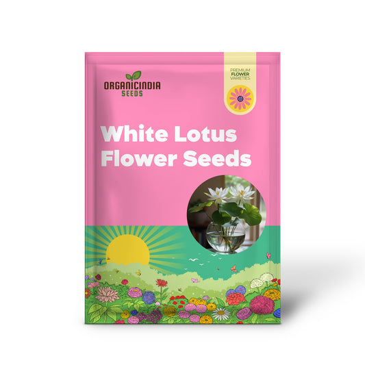 Premium White Lotus Seeds, Grow Beautiful Lotus Flowers