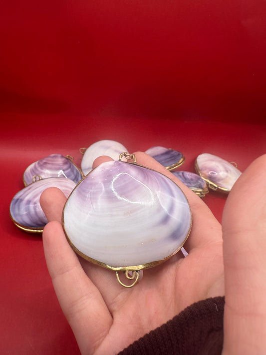 Purple Clam Shell Coin Purse - Coastal Accessory 2.25"