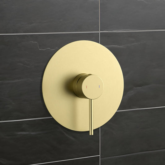 Halo Single Function Rough-in Valve Trim Plate