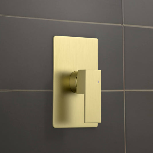 Quadro Single Function Rough-in Valve Trim Plate