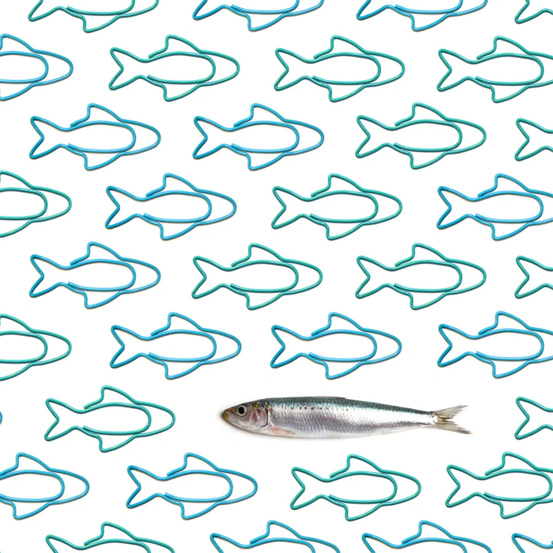 Sardine Paper Clips | Play | Kitchen + Metal