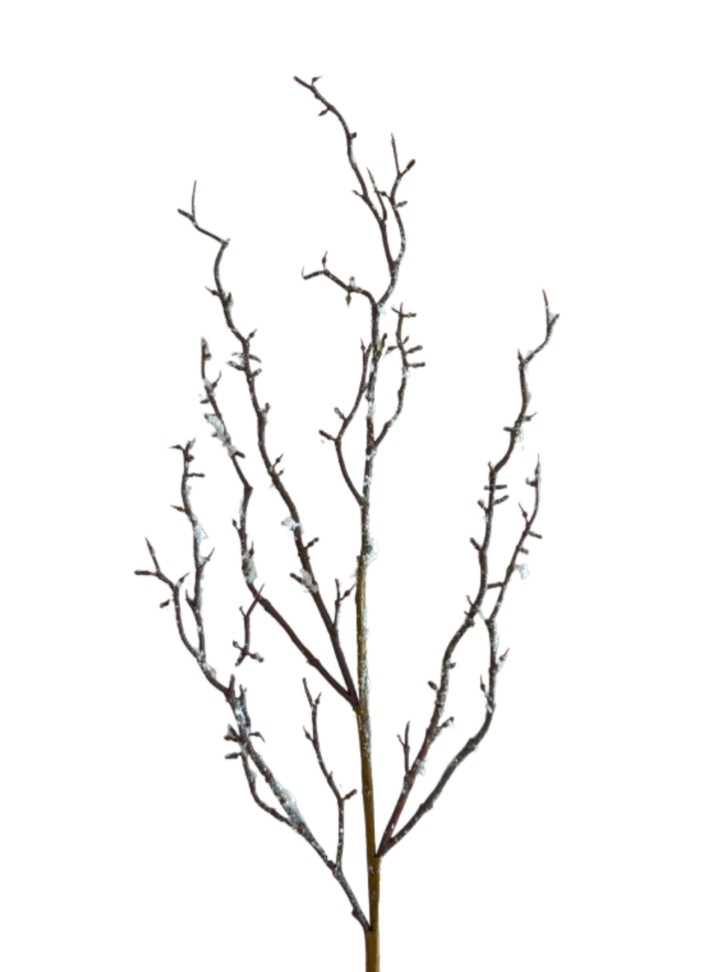 GLITTER SNOW CORAL SPY WHITE/BROWN 29"