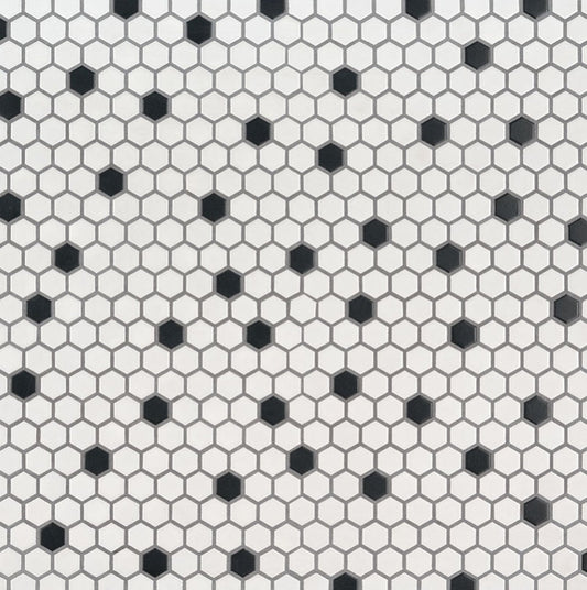 Black And White 1” Hexagon Mosaic Tile