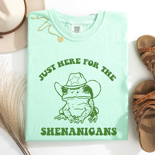 Shenanigans, Frog, Sheriff, Funny, St Patrick's Day, Shamrock, Clover, Lucky, Leprechaun Tshirt Comfort Colors T-Shirt