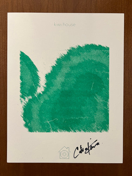 kiwi house: ONE (TURQUOISE VINYL) | Mint (M) Mint (M)