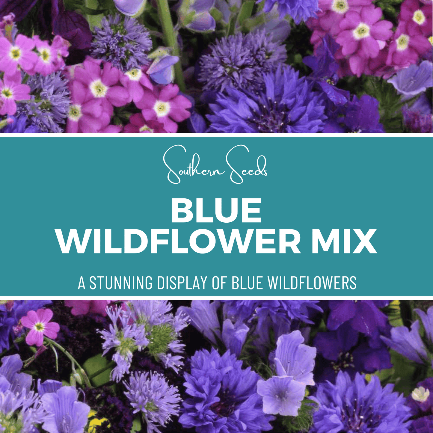 Blue Wildflower Seed Mix – 100 Seeds