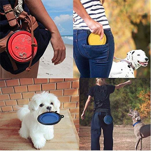 Collapsible Dog Bowls | Family Pet | Under $100 | Kitchen + Metal