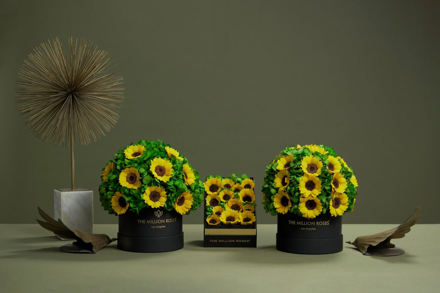 Square Black Box | Sunflowers