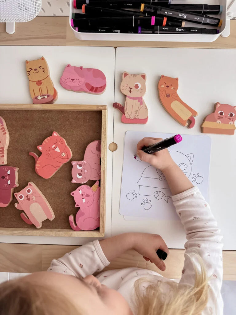 QToys Australia (USA) Cat Play Set & Colouring | Kitchen + Metal