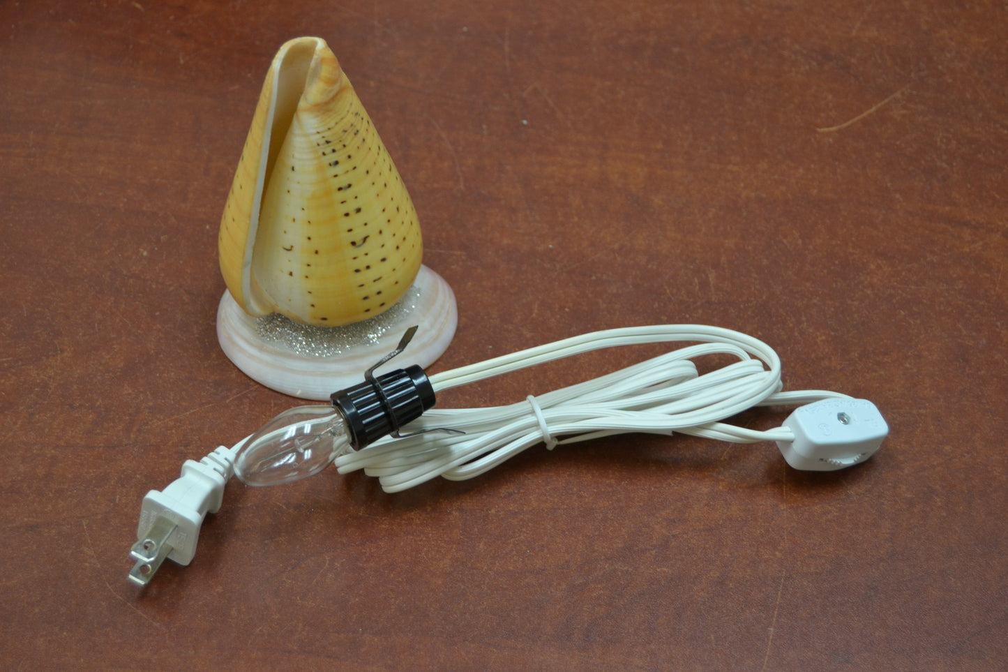 Spotted Orange Cone Sea Shell Table Lamp | Lighting | Kitchen + Metal