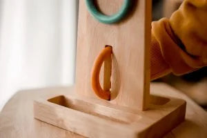 QToys Australia (USA) Sorting Ring Toss | Kitchen + Metal