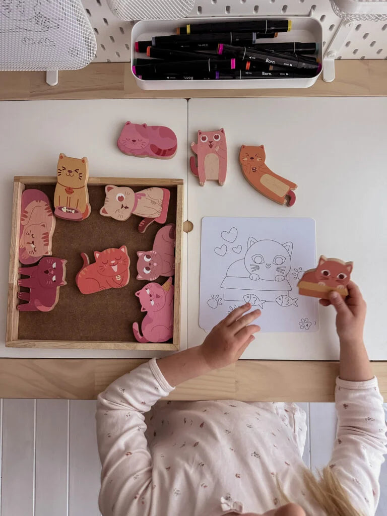 QToys Australia (USA) Cat Play Set & Colouring | Kitchen + Metal