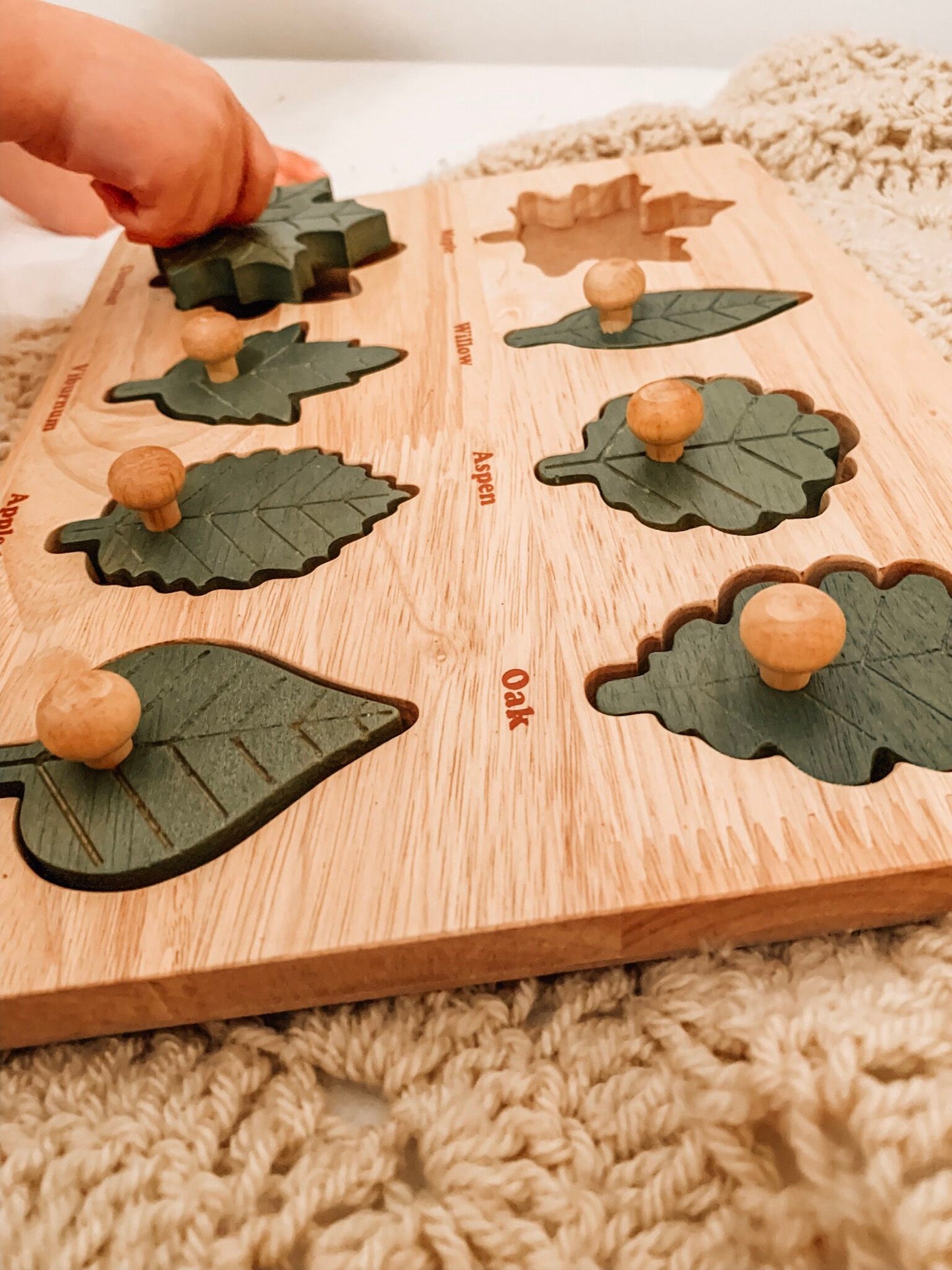 QToys Australia Leaf Puzzle | Kitchen + Metal