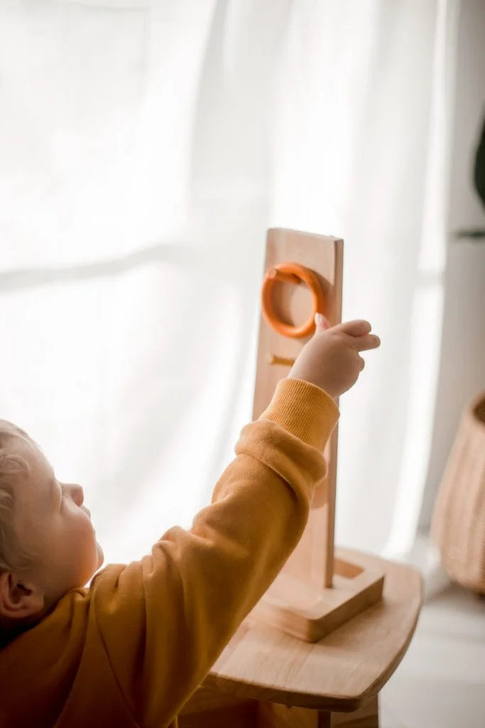 QToys Australia (USA) Sorting Ring Toss | Kitchen + Metal