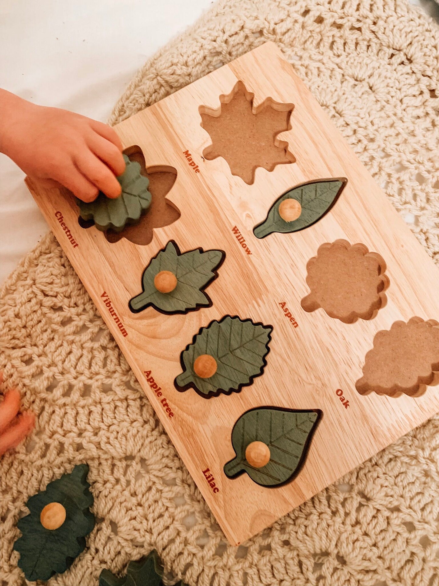 QToys Australia Leaf Puzzle | Kitchen + Metal