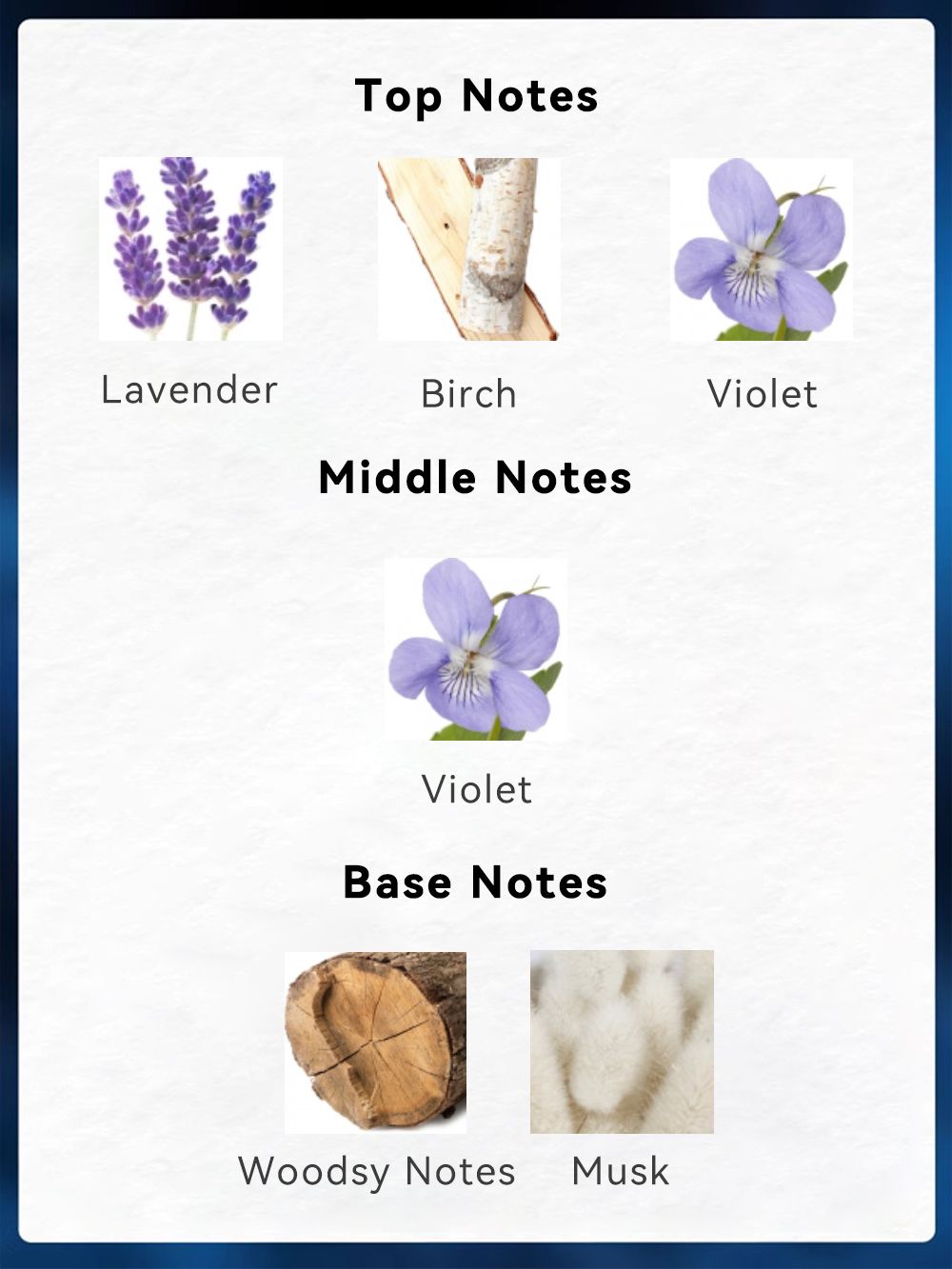 3.4 Fl Oz Men's Eau De Toilette Spray - A Woody Aromatic Fragrance For Men- With Lavender, Birch And Violet - Medium Intensity Perfume