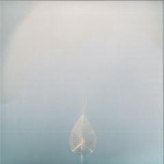 Faith (VINYL) | Mint (M) Mint (M)