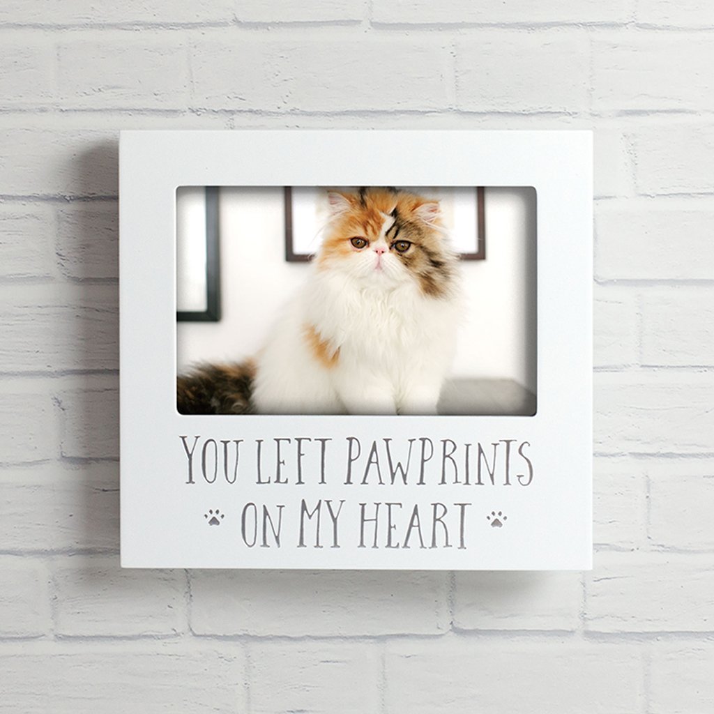 Framed picture of a cat with text 'You left pawprints on my heart' on a white brick wall.