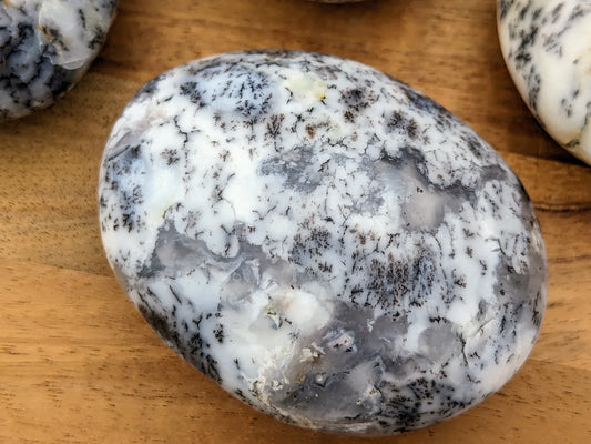 Dendritic Opal Palm Stones