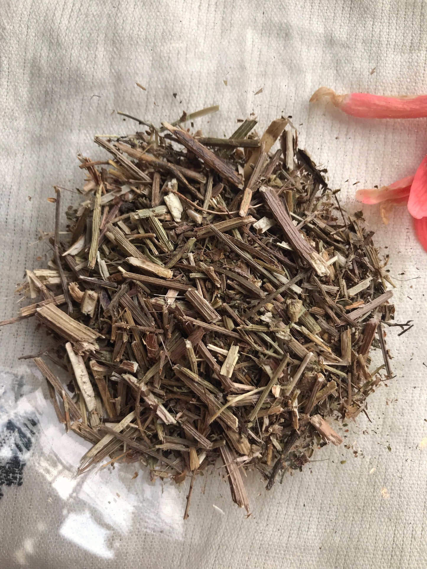 Vervain (Verbena officinalis) - Witching Herbs