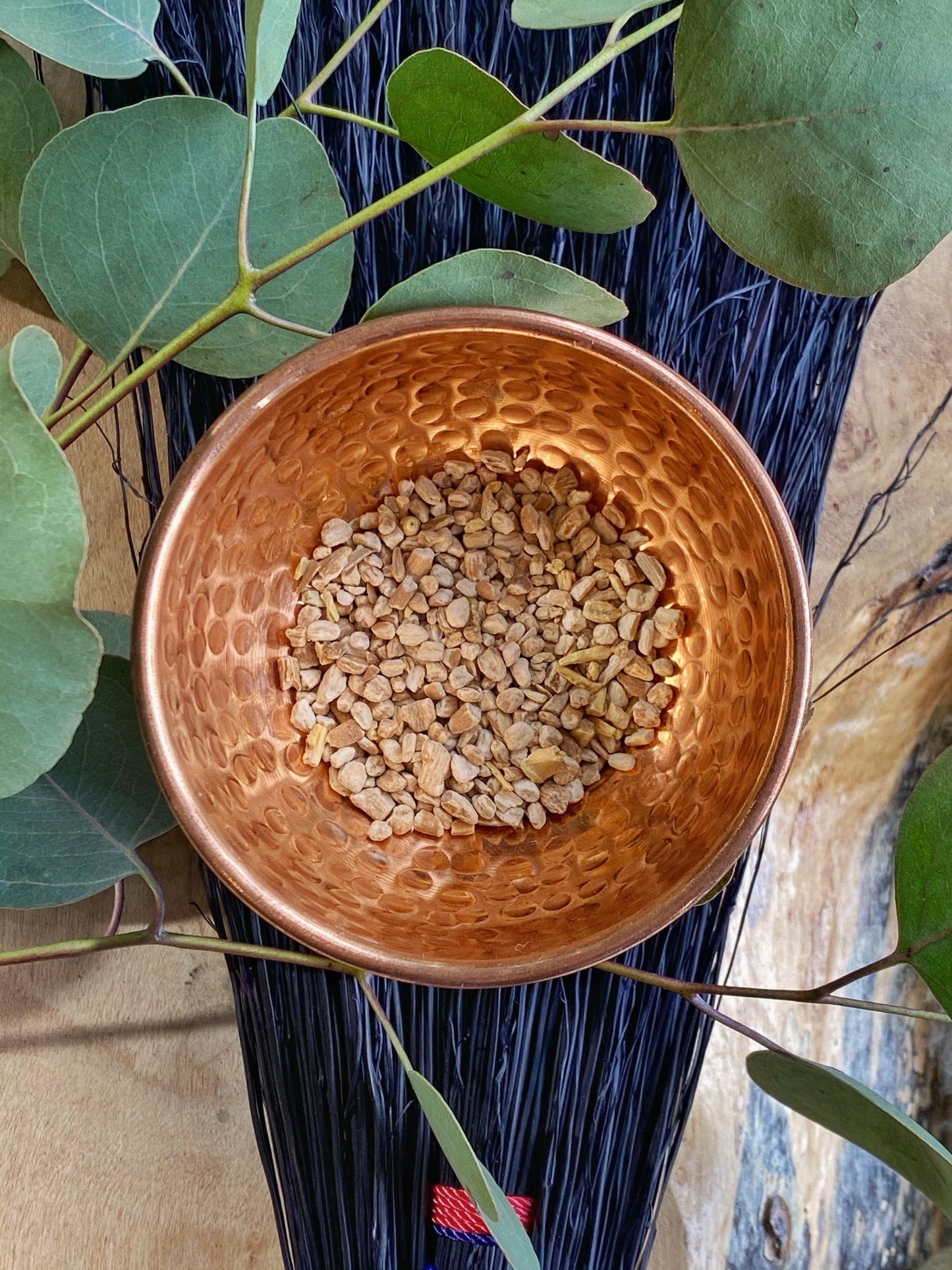 Ashwagandha Root (Withania somnifera) - Witching Roots