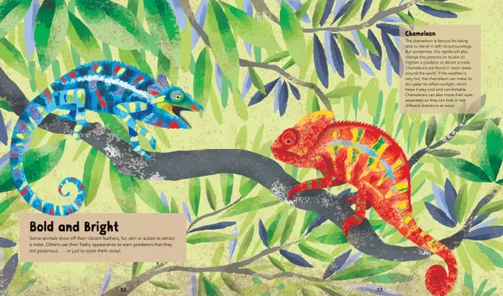 Incredible Animals - Hardcover Children's Book