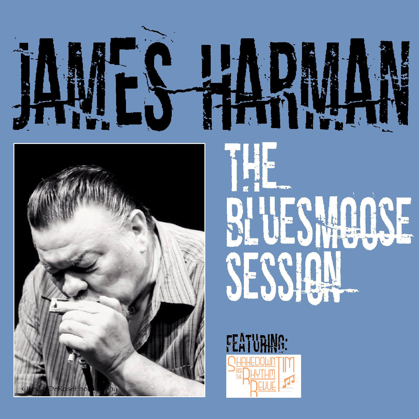 The Bluesmoose Session (CD)