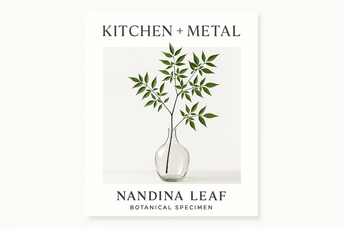 Kitchen + Metal Nandina Leaf Product Graphic