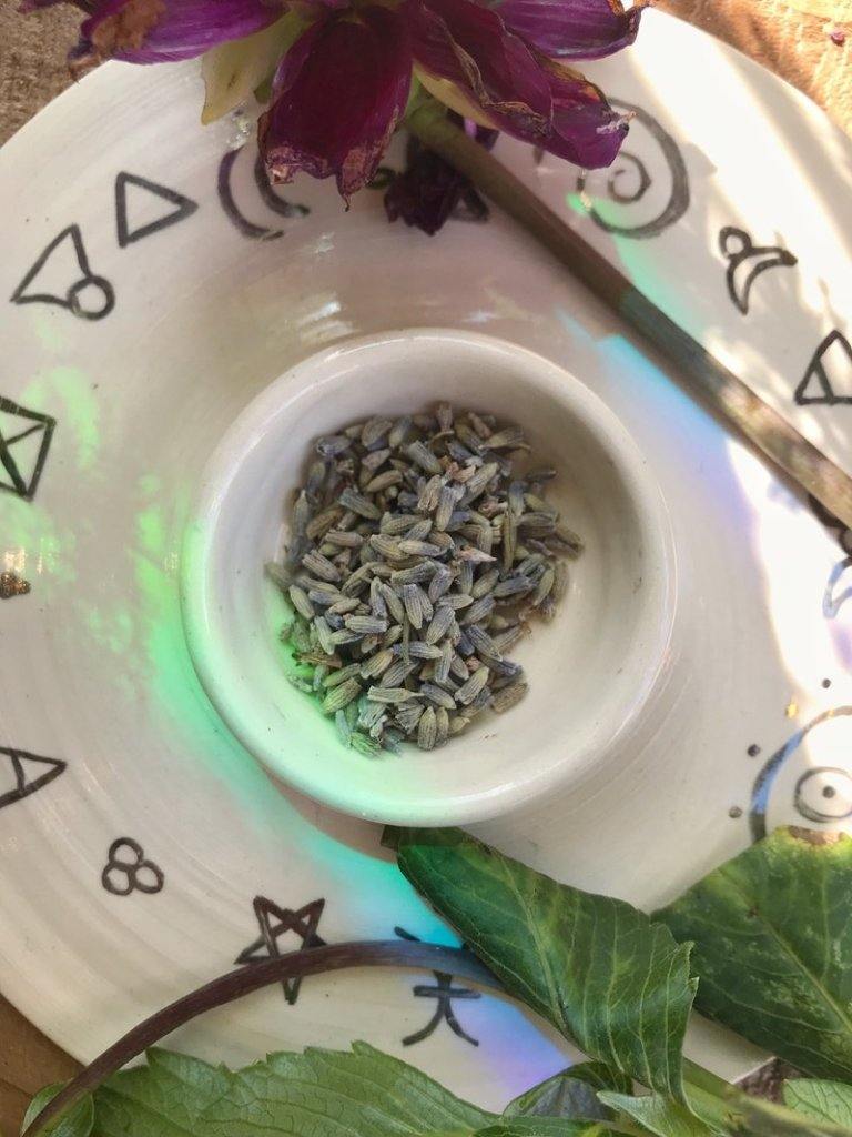 Lavender Flowers (Lavandula angustifolia) - Witching Flowers