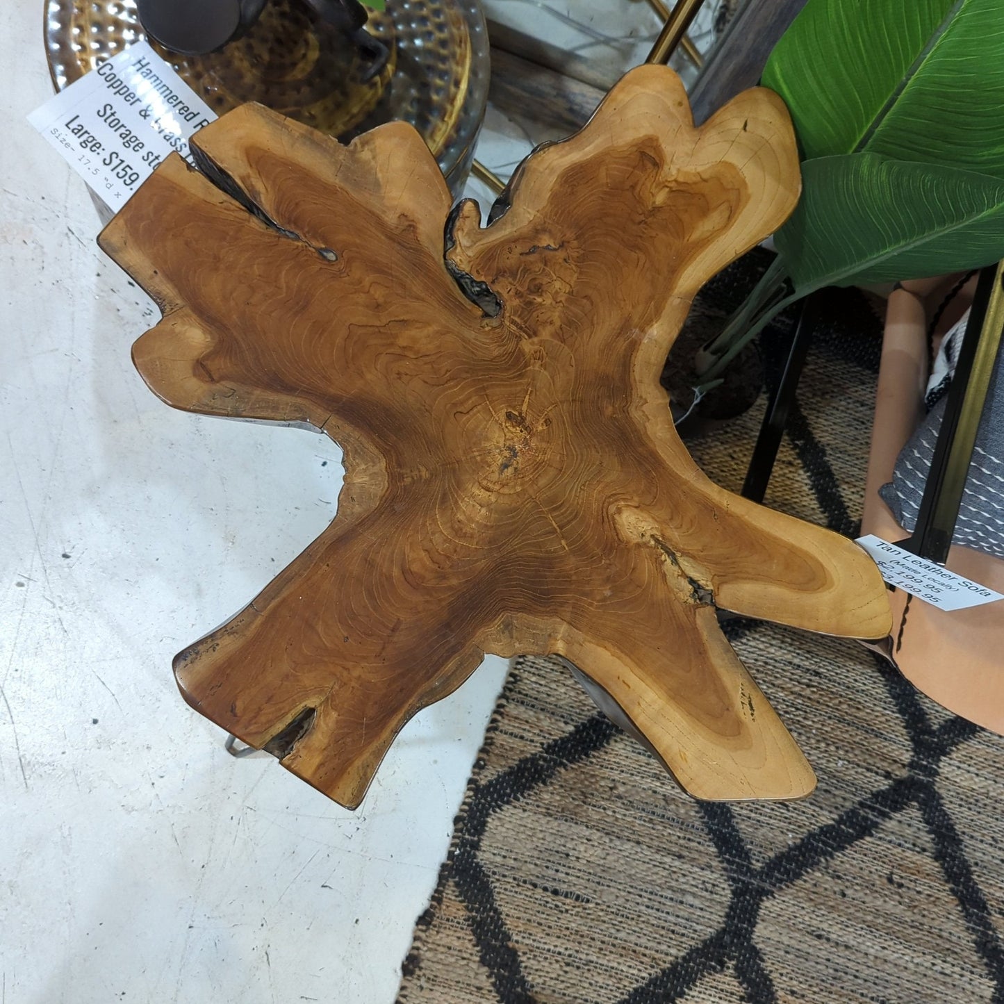 Live Edge Side