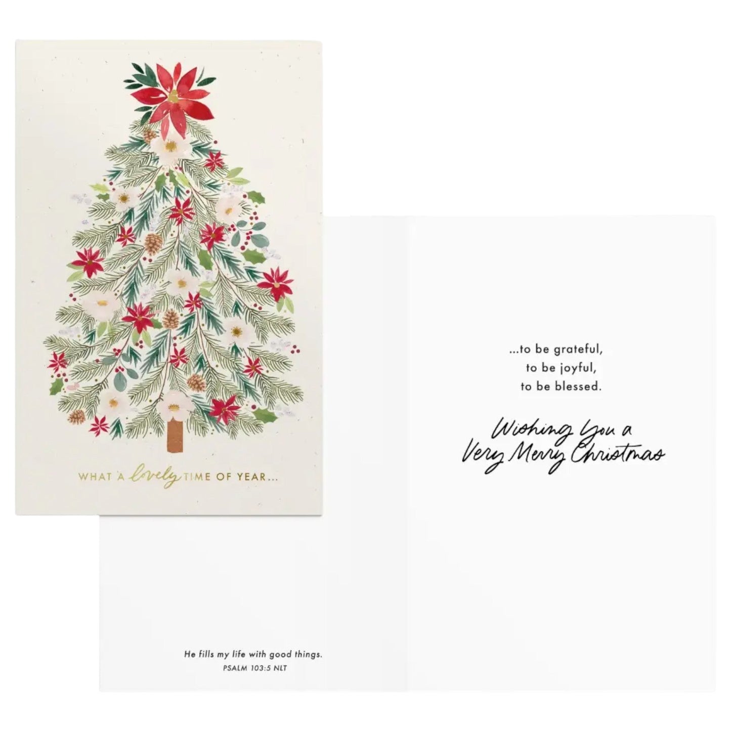 Be Merry and Blessed - 18 Assorted Christmas Boxed Cards and Envelopes