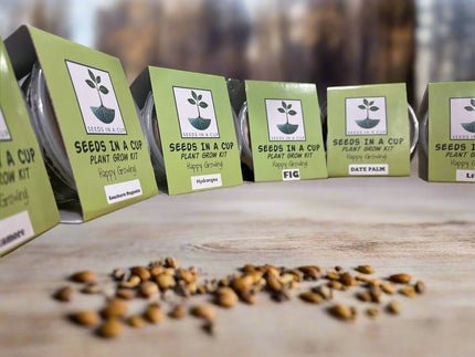 Date Palm Tree | Seed Starter Grow Kit | Seeds In A Cup®