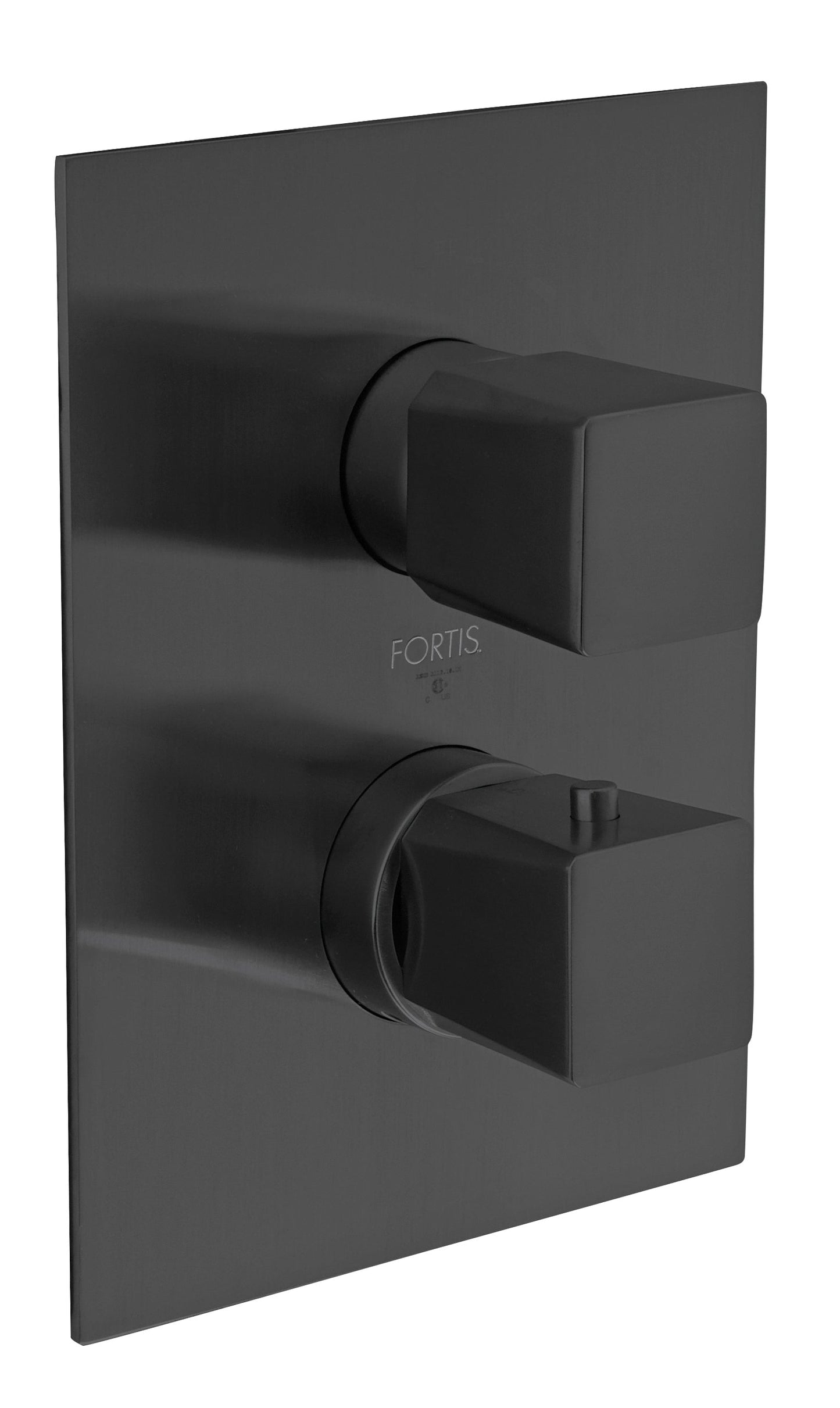 9469000BB Trim 690 Thermostatic 3/4"