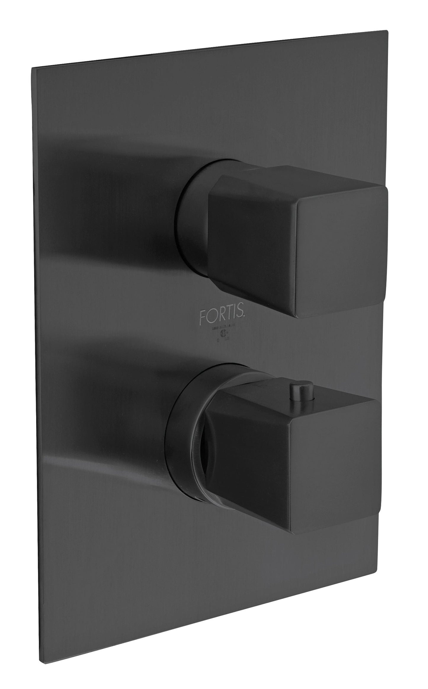 9469100BB Trim 691 Thermostatic 1/2"