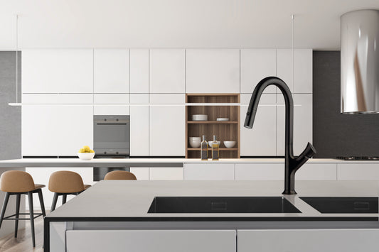 6459100BB Kitchen Faucets Pullout