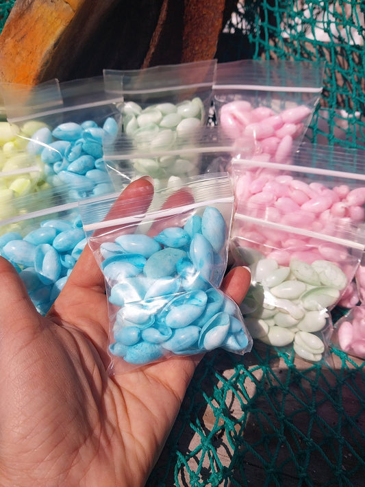 Bulk Pastel Dyed Bubble Shells – 3 oz Bag (80 Pieces) Craft & DIY Supplies