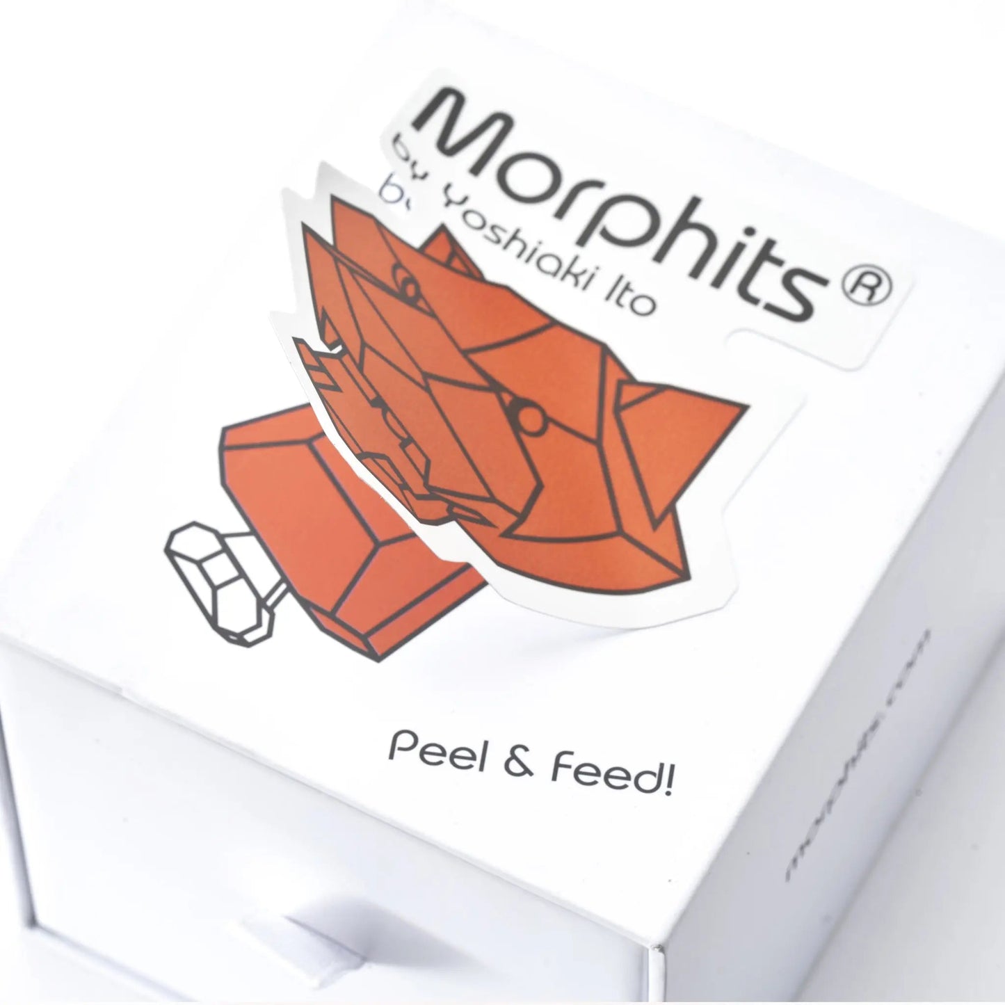 Modern Wooden Tiger Decor – Interactive Puzzle & Art Piece