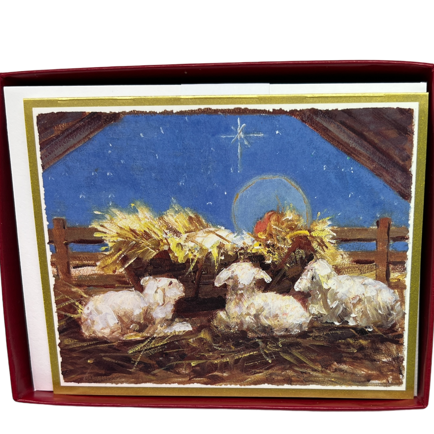 The Babe In the Manger Boxed Christmas Cards
